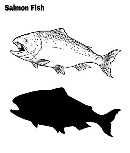 Vector de pescado a mano dibujando