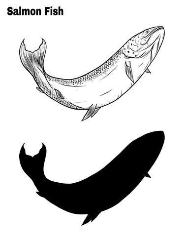 Vector de pescado a mano dibujando