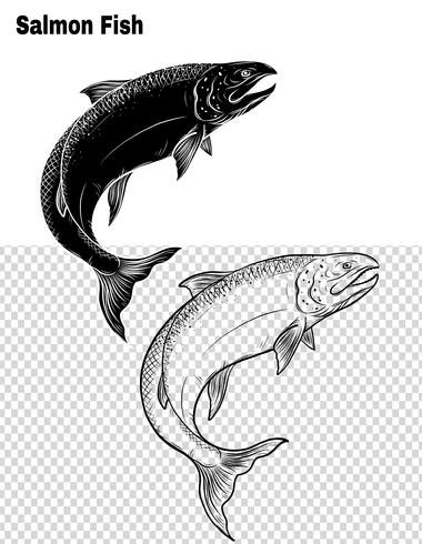 Fish vector by hand drawing.