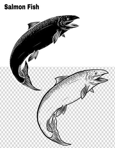 Fish vector by hand drawing.