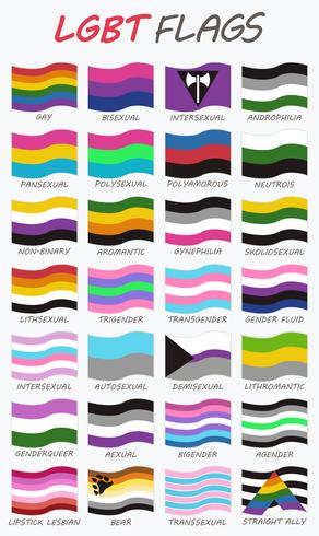 Conjunto de 28 banderas LGBT. vector