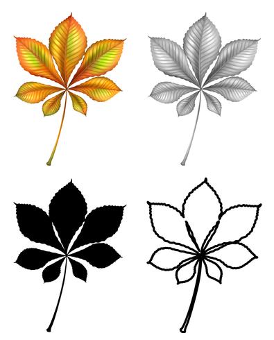 Set of plant Leaf vector