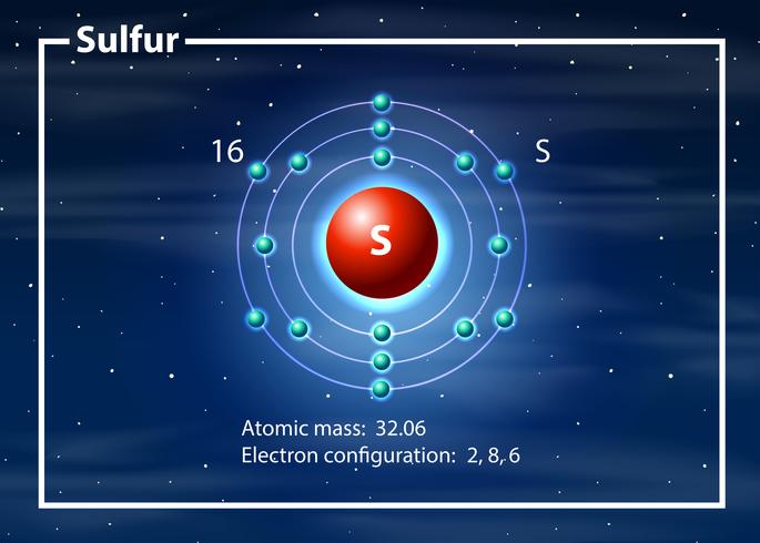 Chemist atom of cobalt diagram vector