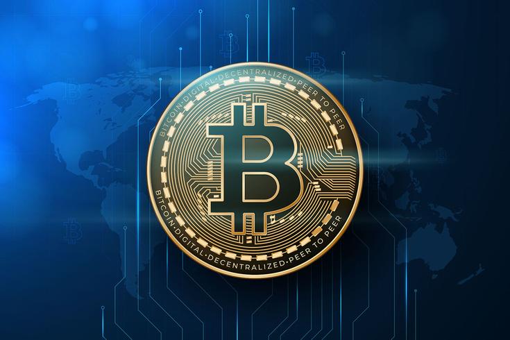 Realistic Bitcoin Illustration vector
