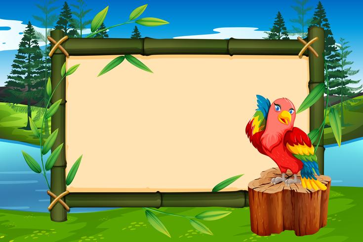 Parrot on bamboo frame vector