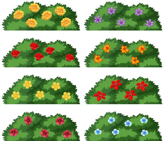 Set of bushs with flowers vector