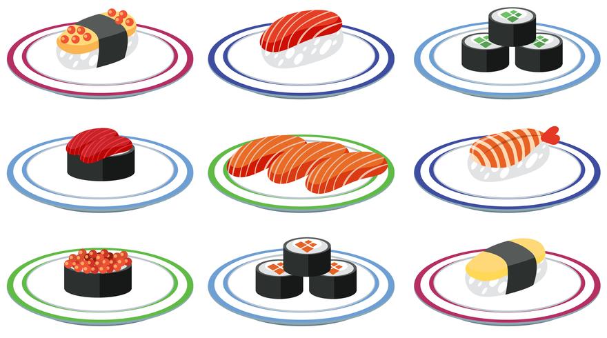Set of sushi on plate vector