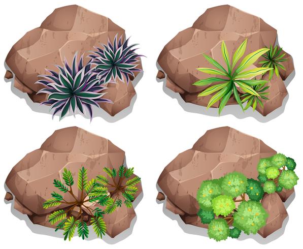 Set of nature rock vector