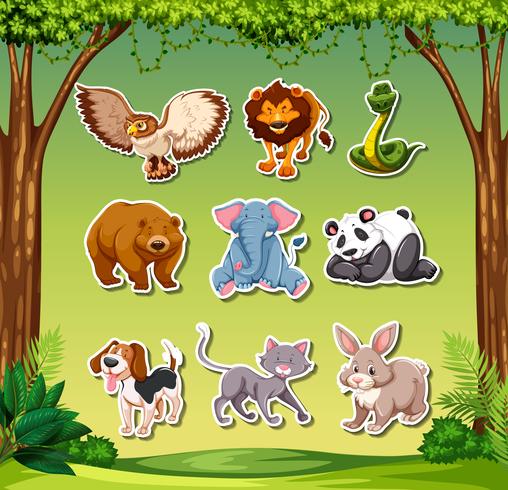 Set of animal sticker vector