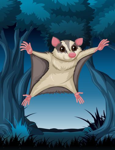 Flying possum in woods vector