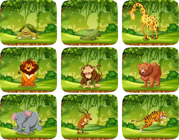 Set of animals in nature scene vector