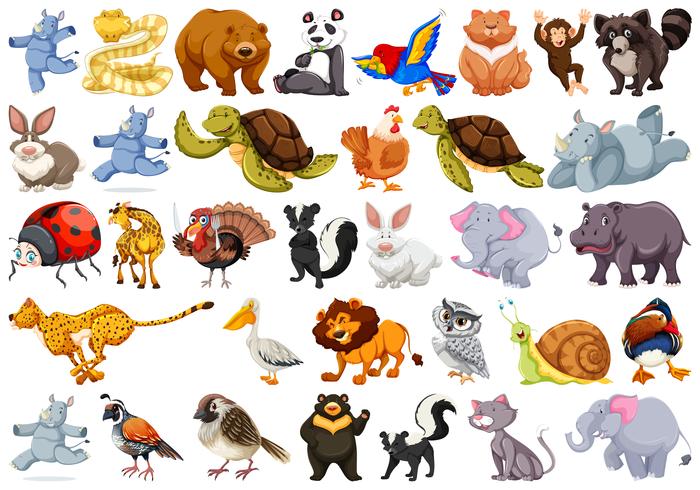 Set of different animals vector