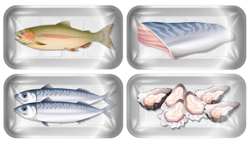 Set of seafood in packaging  vector