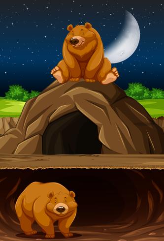 Bear at the cave vector