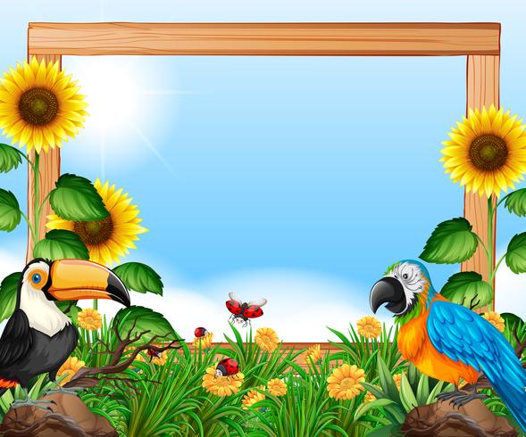 Birds on nature wooden frame vector