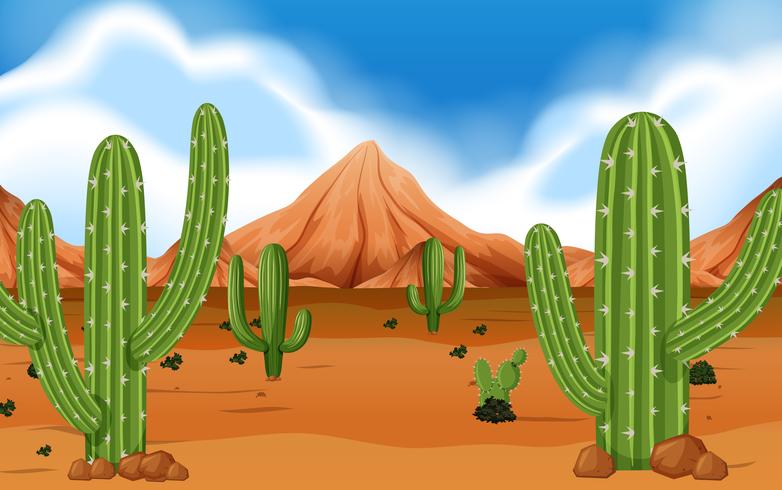 Desierto Con Montaña Y Cactus vector