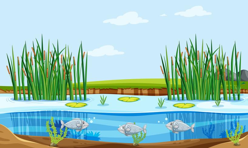 Escena de la naturaleza del estanque de peces vector