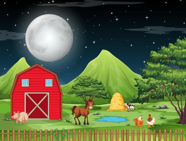 Farm at Night scene vector