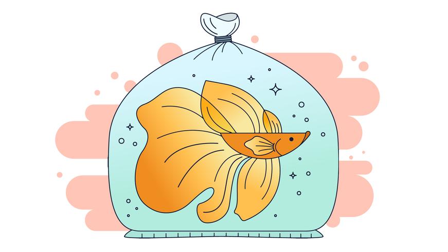 vector de pescado betta