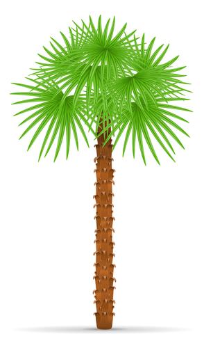 Ilustración de vector de palmera