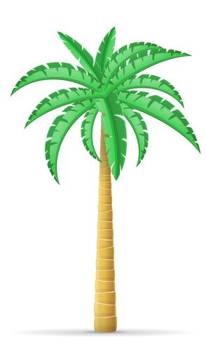 palm tree vector illustration 542124 Vector Art at Vecteezy