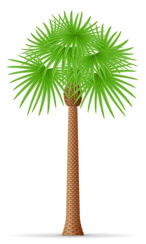 Ilustración de vector de palmera