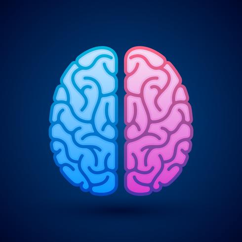 Human Brain Cerebral Hemispheres Pictorial Symbol Illustration vector