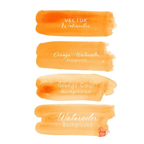 Orange brush stroke watercolor on white background. Vector illustration. 