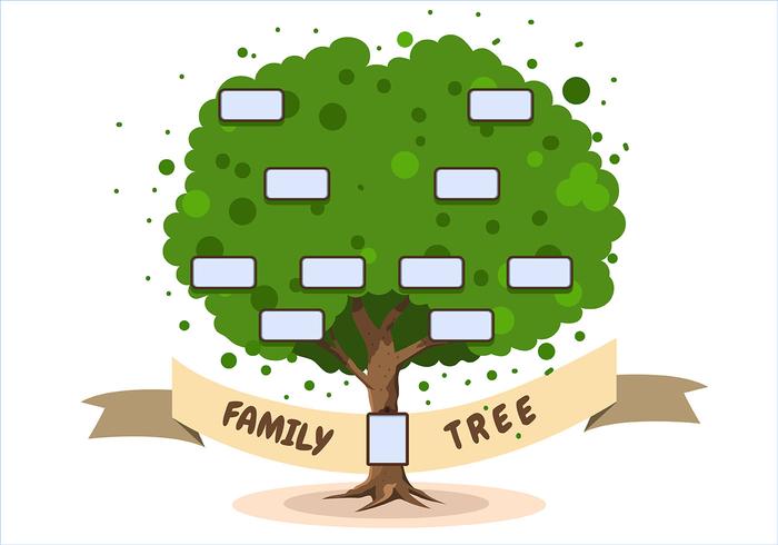 Plantilla de árbol genealógico sobre fondo blanco vector