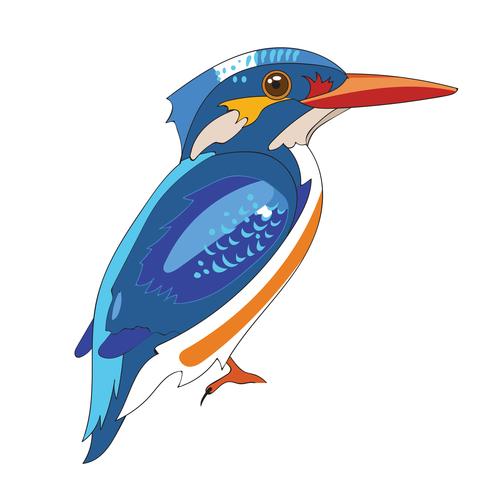 Blue king Fisher vector