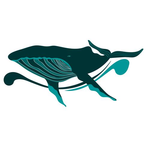 whale vector