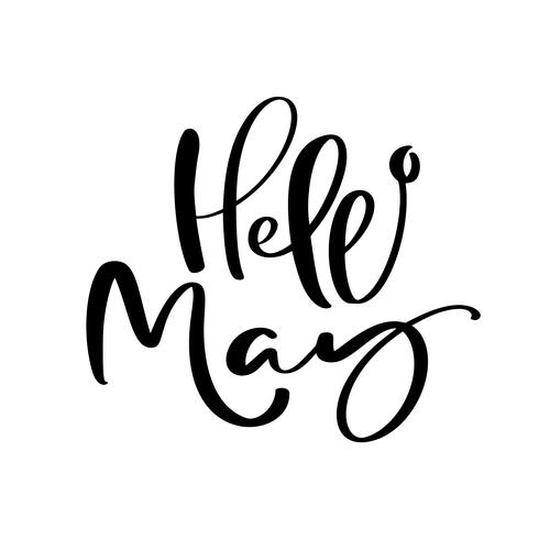 Hello May hand drawn calligraphy text and brush pen lettering. design for holiday greeting card and invitation of seasonal spring holiday calendar vector