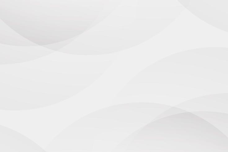 White abstract background vector. Gray abstract. Modern design background for report and project presentation template. Vector illustration graphic. Futuristic and Circular curve shape