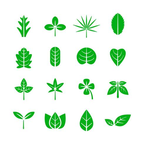 Icono de la hoja Concepto de naturaleza y medio ambiente. Ilustración vectorial vector