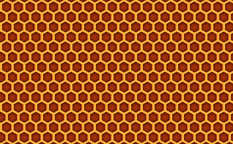 Honey comb beehive pattern textured background. Vector illustration