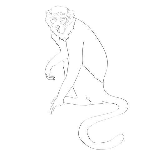 Monkey line drawing vector