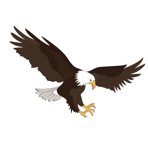 Fish Eagle 544018 Vector Art at Vecteezy