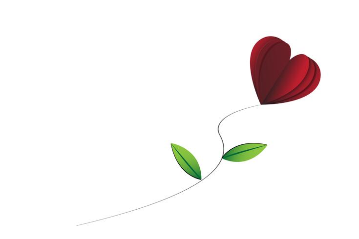 Heart-shape rose with leaves on the white isolated background vector