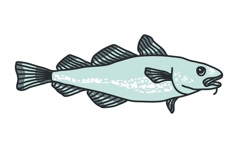 Ilustración de bacalao vector