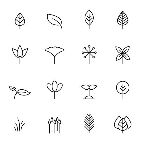 Leaf icon set vector. Nature and symbol concept. Thin line icon theme. White isolated background. Illustration vector. vector