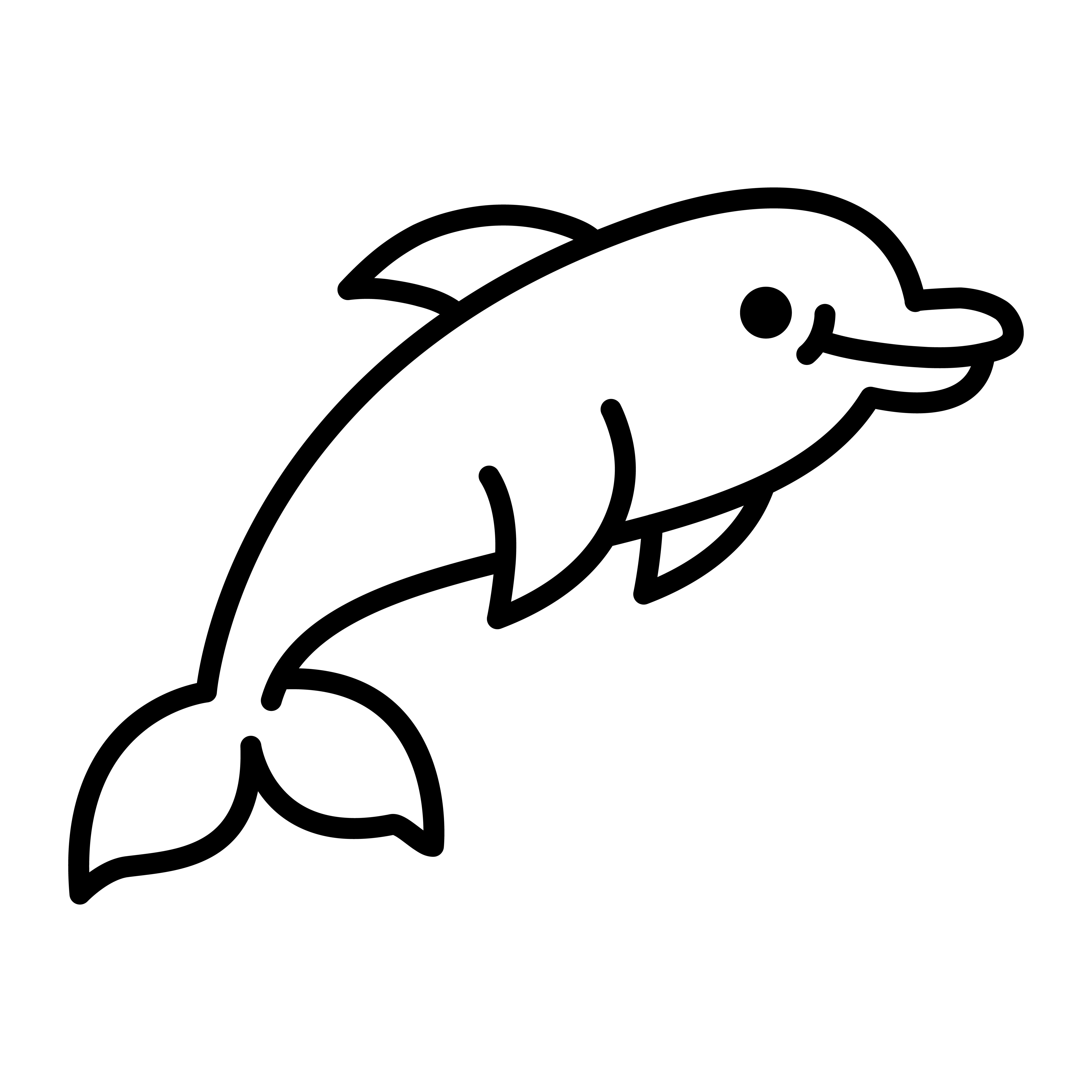 Dolphin Cartoon Black And White