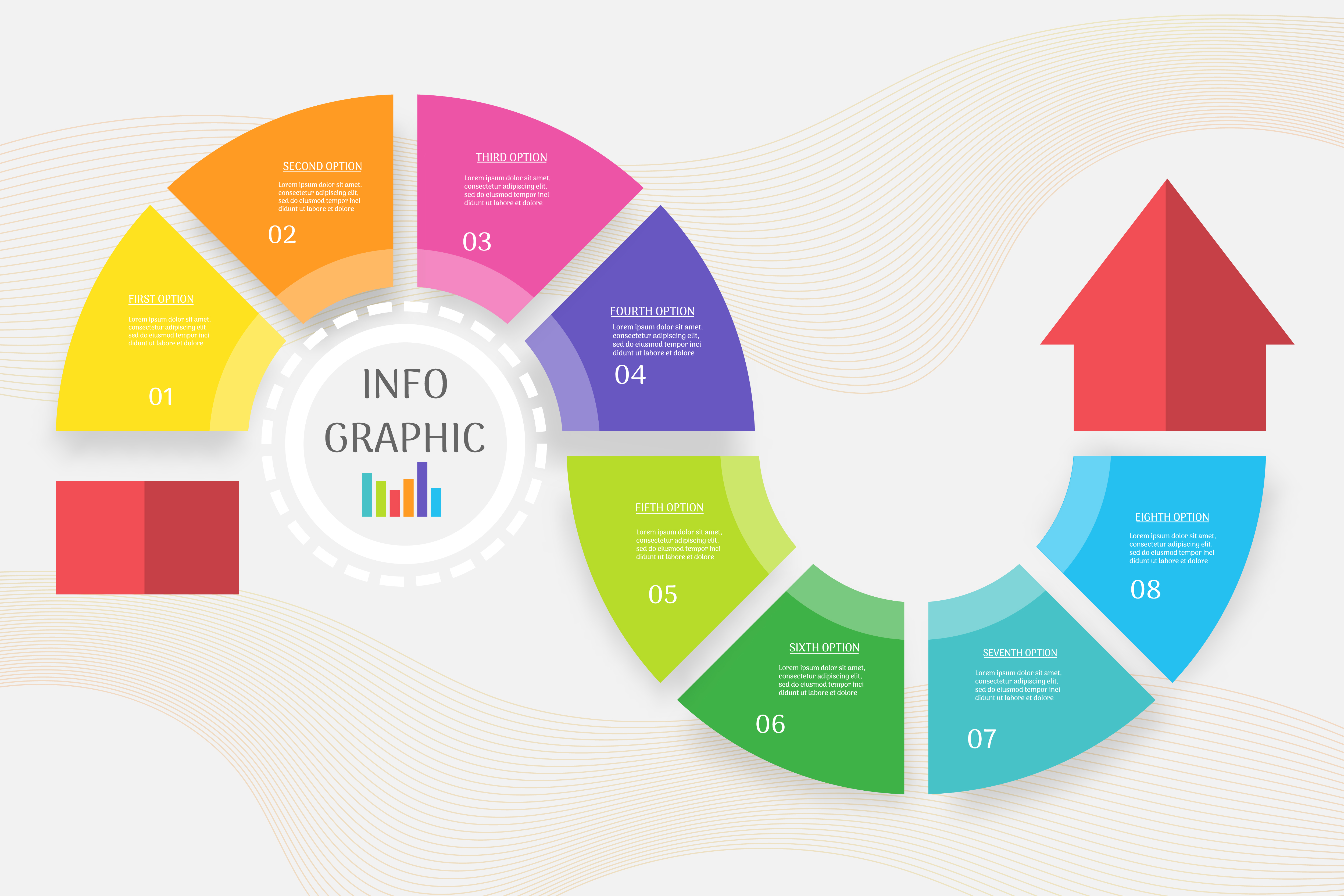 Infographic Design Template