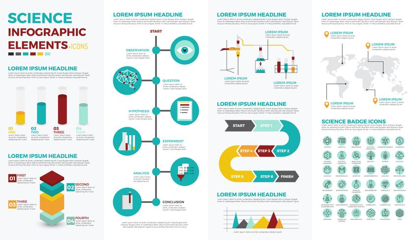 Elementos de infografía educación de la ciencia vector