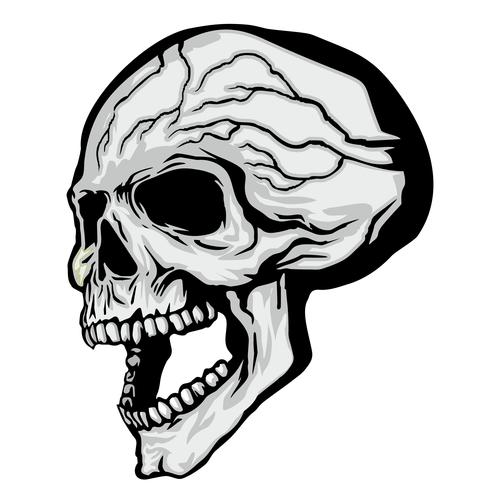 aggressive emblem with skull vector