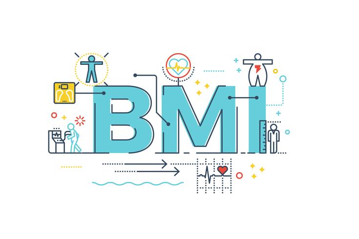 BMI  Body Mass Index word vector