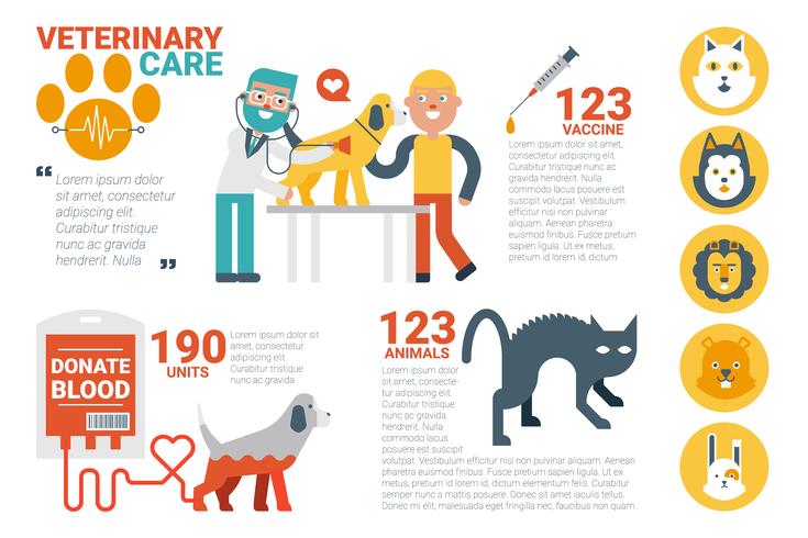 Infografía de atención veterinaria. vector