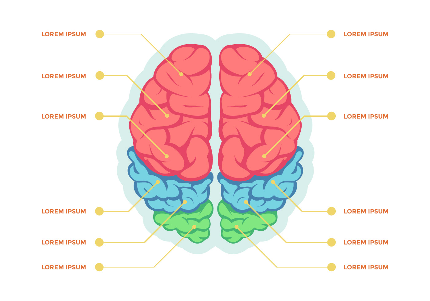 hemispheres of the brain
