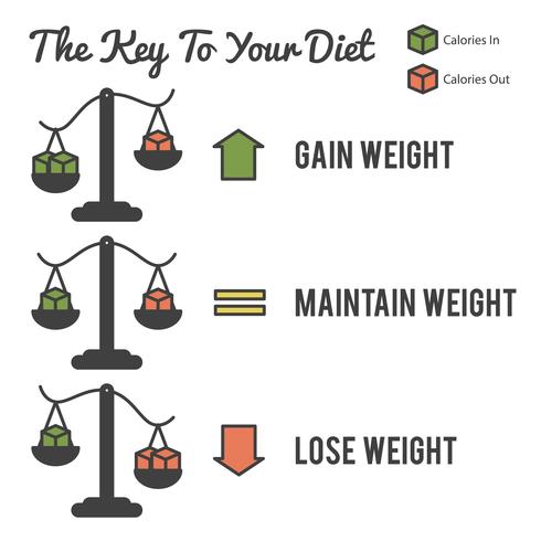 The Key to Your Diet vector