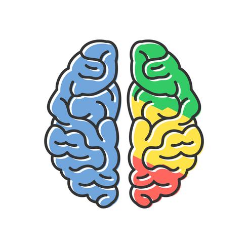 Human Brain Hemispheres Vector