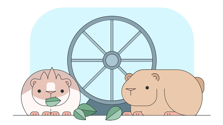 Guinea Pig Vector